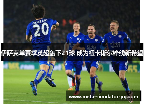 伊萨克单赛季英超轰下21球 成为纽卡斯尔锋线新希望